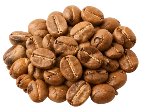Light Roast